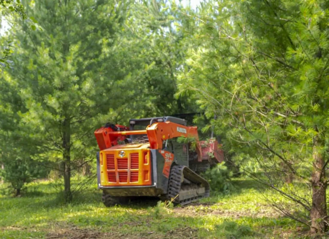 Compact track loader mulching underbrush on a wooded lot in Spring TX