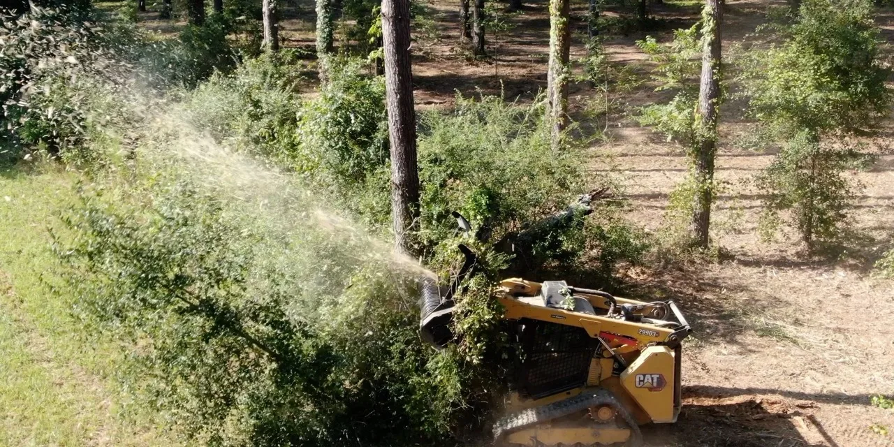 Forestry mulcher grinding brush into mulch on a wooded acre near Houston, TX