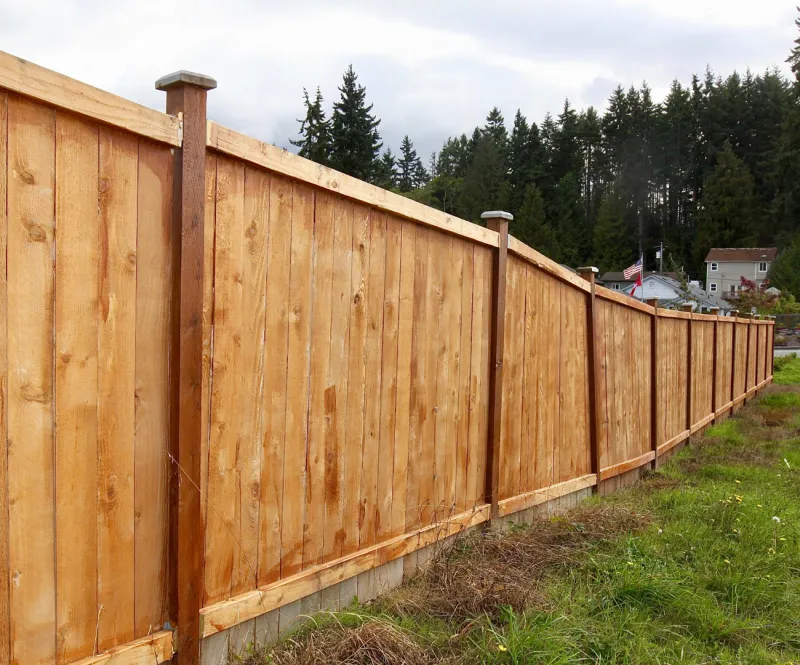 Fence Line Mulching in Porter, TX