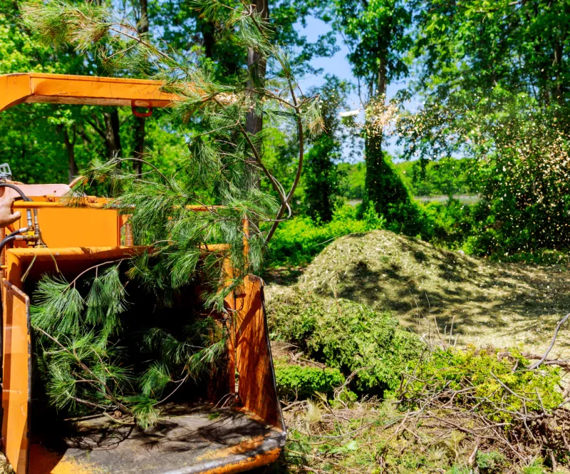 Forestry Mulching in Porter, TX