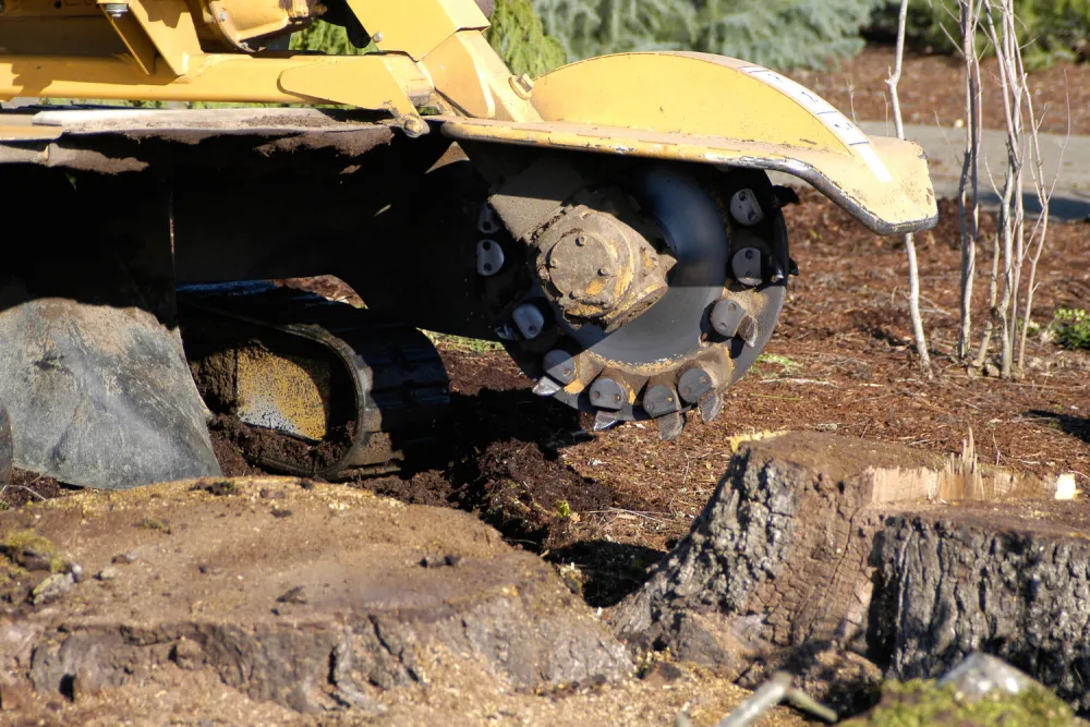 Tree removal in progress on a wooded lot in Montgomery County